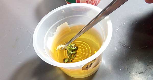 グロッソスティグマを木酢液に浸す。